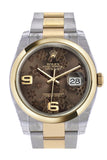 Rolex Datejust 36 Bronze floral motif Dial 18k Gold Two Tone Oyster Watch 116203